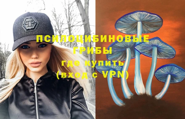 apvp Володарск