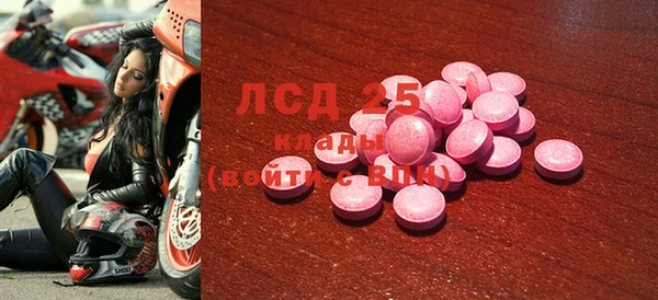 индика Волосово