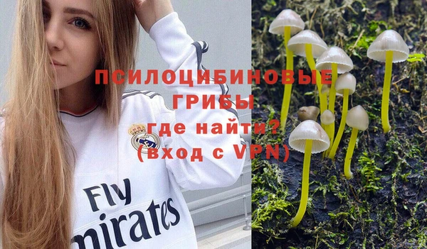 apvp Володарск