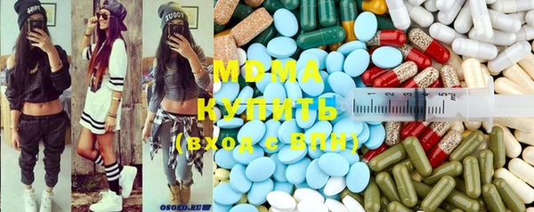 индика Волосово