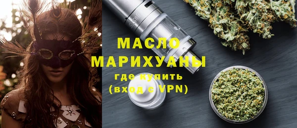 индика Волосово