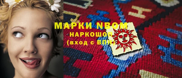 индика Волосово