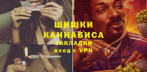 apvp Володарск